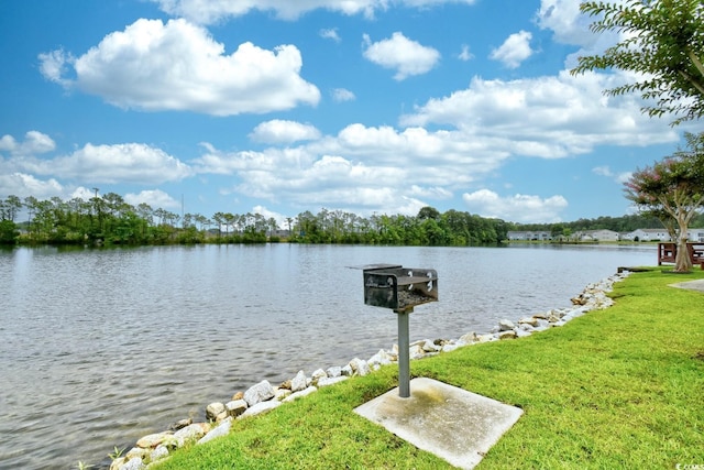 2187 Clearwater Dr Unit H, Surfside Beach, SC 29575 - water view