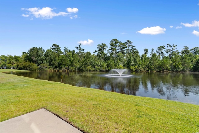 160 Chenoa Dr Unit A, Murrells Inlet, SC 29576 - photo 31