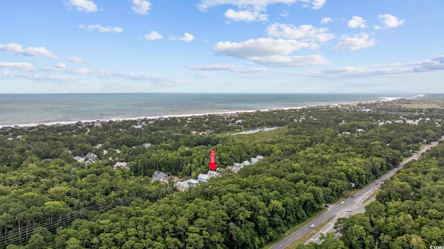 43 Sandlapper Way, Pawleys Island, SC 29585 - drone / aerial view of a nearby body of water and a heavily wooded area
