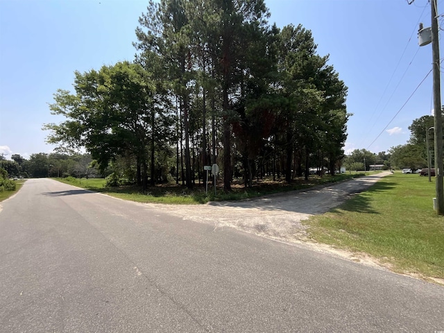 1425 Harbor House Dr, Manning, SC 29102 - photo 1