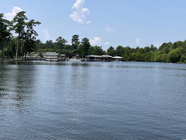 1425 Harbor House Dr, Manning, SC 29102 - photo 9
