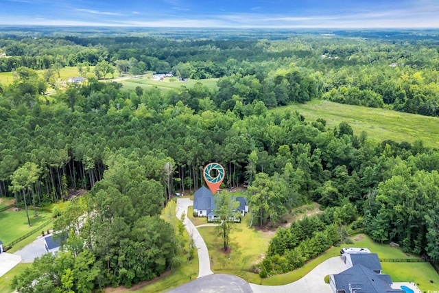 141 Evans Branch Ct, Galivants Ferry, SC 29544 - drone / aerial view of a forest