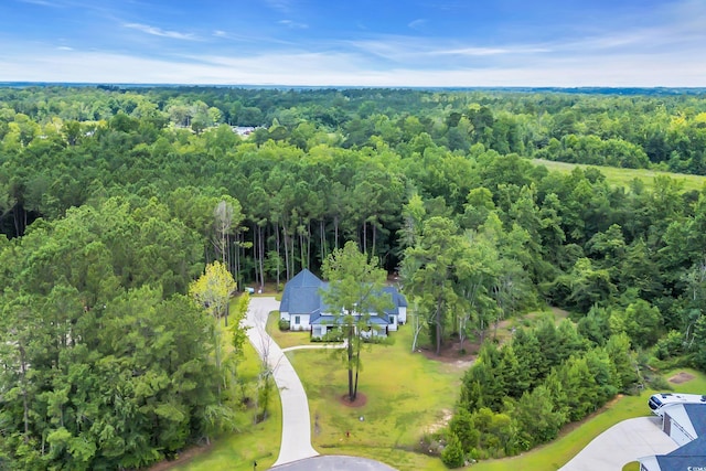 141 Evans Branch Ct, Galivants Ferry, SC 29544 - drone / aerial view of a heavily wooded area