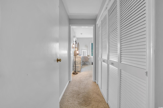 231 Live Oak Ln, Myrtle Beach, SC 29572 - hallway with carpet floors and baseboards
