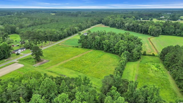 0 Tom Cribb Rd, Hemingway, SC 29554 - photo 1