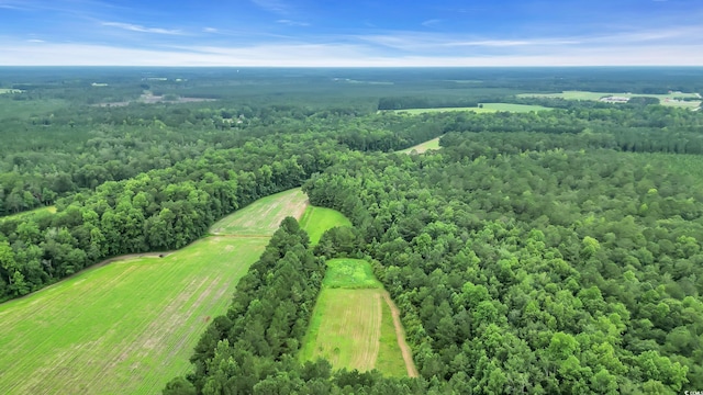 0 Tom Cribb Rd, Hemingway, SC 29554 - photo 12