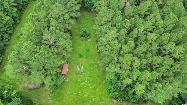 0 Tom Cribb Rd, Hemingway, SC 29554 - photo 18