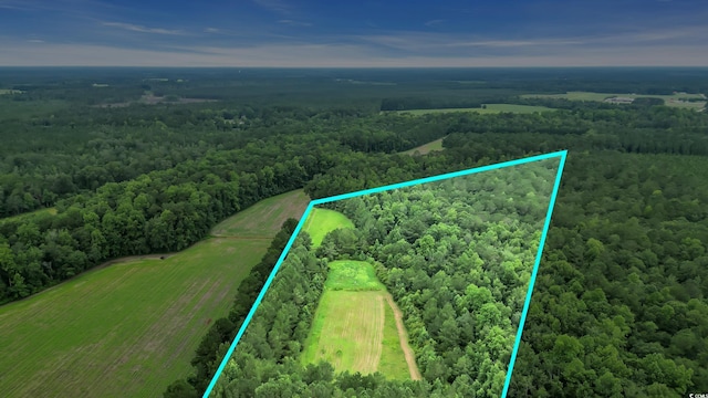 0 Tom Cribb Rd, Hemingway, SC 29554 - photo 25