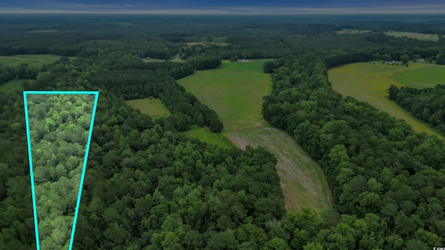0 Tom Cribb Rd, Hemingway, SC 29554 - photo 26