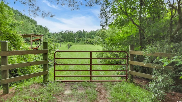 0 Tom Cribb Rd, Hemingway, SC 29554 - photo 27