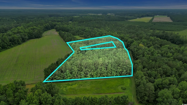 0 Tom Cribb Rd, Hemingway, SC 29554 - photo 30