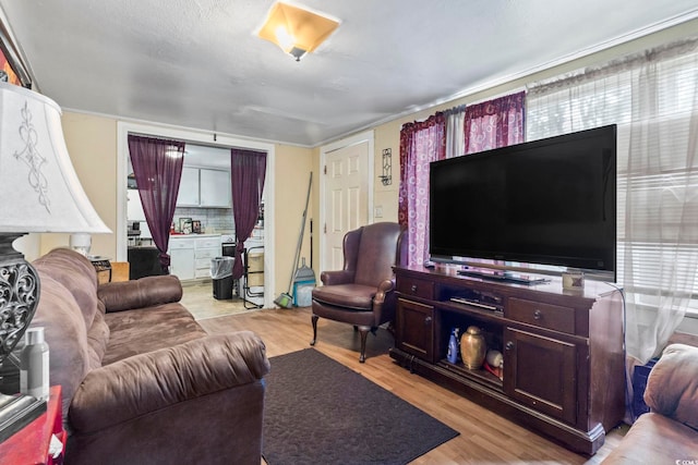 414 King St, Georgetown, SC 29440 - living area with light wood-style flooring