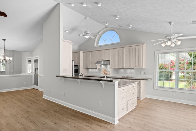 3845 Camden Dr, Myrtle Beach, SC 29588 - kitchen with a ceiling fan, a breakfast bar area, under cabinet range hood, a chandelier, and oven
