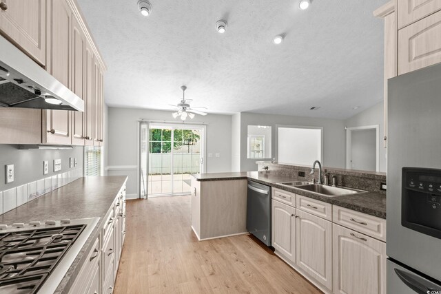3845 Camden Dr, Myrtle Beach, SC 29588 - kitchen with appliances with stainless steel finishes, under cabinet range hood, light wood-style flooring, ceiling fan, and a textured ceiling