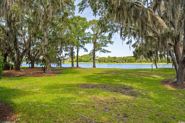 3085 Luvan Blvd, Georgetown, SC 29440 - view of green lawn with a water view