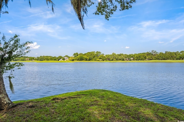 3085 Luvan Blvd, Georgetown, SC 29440 - water view