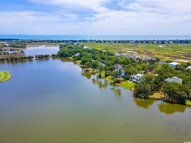 3085 Luvan Blvd, Georgetown, SC 29440 - bird's eye view of a large body of water