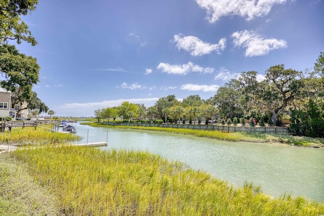 14 Flaggpoint Ln, Murrells Inlet, SC 29576 - photo 39