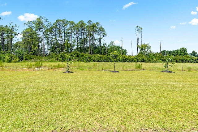 1519 Wood Stork Dr, Conway, SC 29526 - photo 28