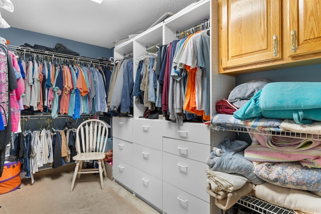 460 River Front St S, Conway, SC 29527 - walk in closet with carpet