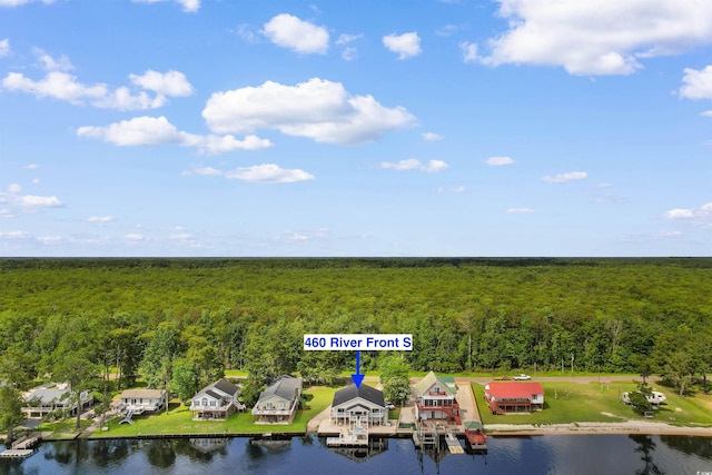 460 River Front St S, Conway, SC 29527 - bird's eye view of a heavily wooded area and a large body of water