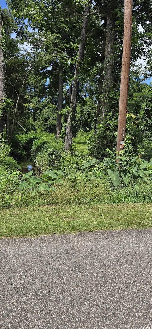 Milligan St, Loris, SC 29569