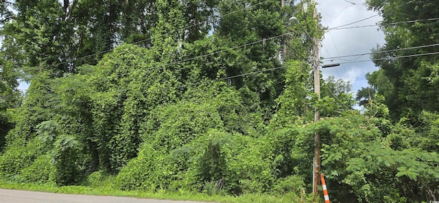 Milligan St, Loris, SC 29569