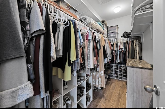 216 Coral Beach Cir, Myrtle Beach, SC 29575 - spacious closet featuring wood finished floors