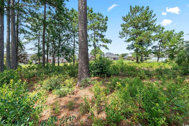 511 Quincy Hall Dr, Myrtle Beach, SC 29579 - photo 13