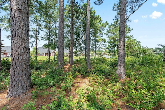 511 Quincy Hall Dr, Myrtle Beach, SC 29579 - photo 14