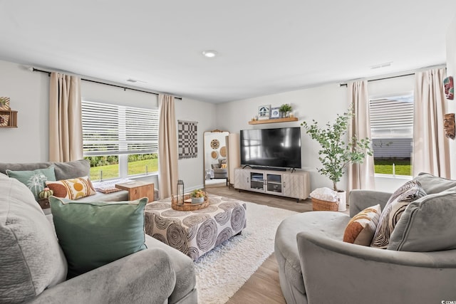 358 Spruce Pine Way, Conway, SC 29526 - living area featuring wood finished floors