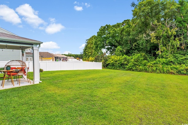 358 Spruce Pine Way, Conway, SC 29526 - view of yard with a patio