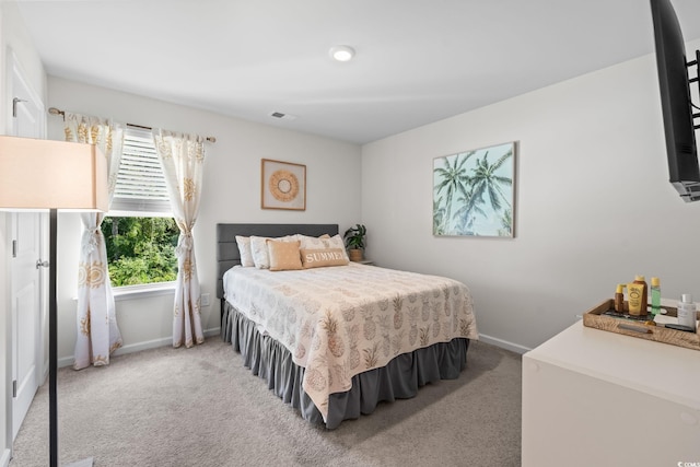 358 Spruce Pine Way, Conway, SC 29526 - bedroom featuring light colored carpet and baseboards