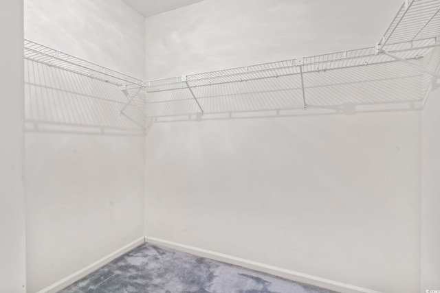 414 Snowy Egret Dr, Murrells Inlet, SC 29576 - photo 24