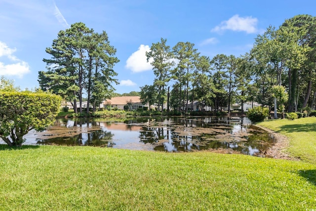 414 Snowy Egret Dr, Murrells Inlet, SC 29576 - photo 33