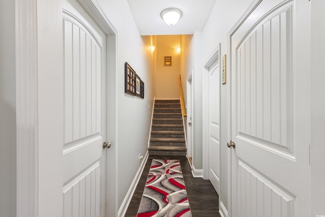 116 Olympus Ln, Conway, SC 29527 - hallway with dark wood-style floors and stairs