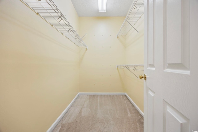3484 Trailside Dr, Little River, SC 29566 - walk in closet with carpet