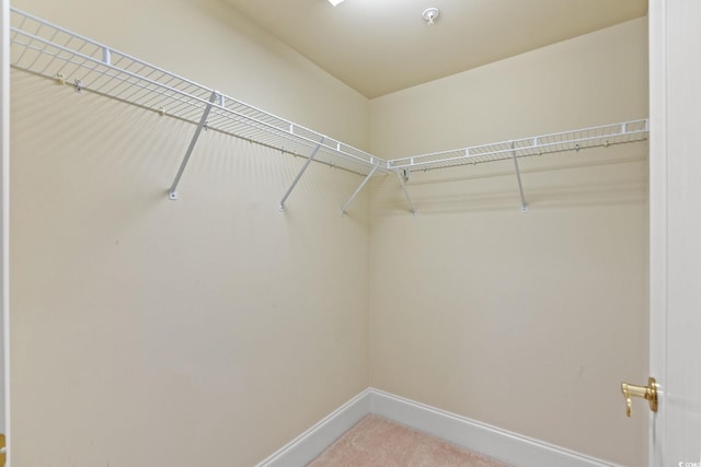 2180 Waterview Dr Unit 332, North Myrtle Beach, SC 29582 - spacious closet featuring carpet