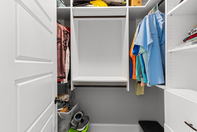 405 Palo Verde Dr, Myrtle Beach, SC 29579 - view of spacious closet