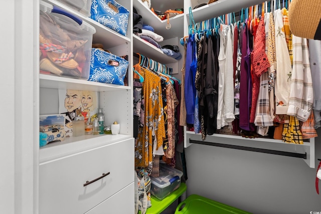 405 Palo Verde Dr, Myrtle Beach, SC 29579 - view of walk in closet