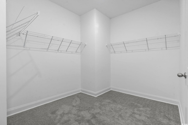 225 Astoria Park Loop, Conway, SC 29526 - spacious closet featuring carpet