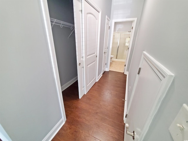 1017 Dinger Dr Unit 1017, Myrtle Beach, SC 29588 - hallway with wood finished floors and baseboards