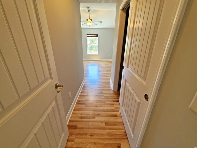 1017 Dinger Dr Unit 1017, Myrtle Beach, SC 29588 - hallway with light wood-type flooring and baseboards