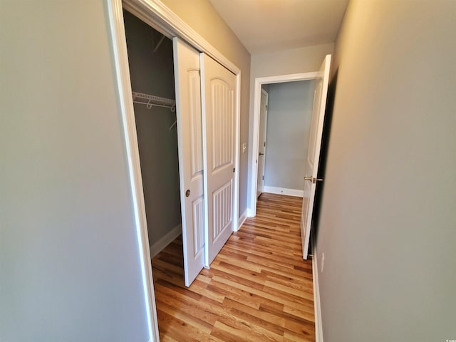 1017 Dinger Dr Unit 1017, Myrtle Beach, SC 29588 - hallway with light wood-style floors and baseboards
