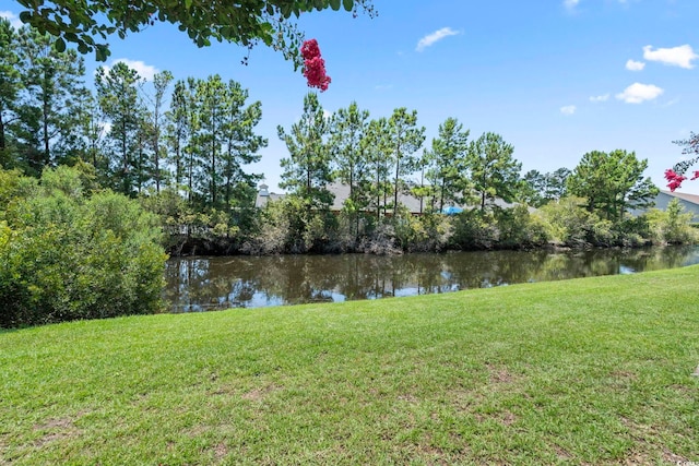 105 Ashley Park Dr Unit 2B, Myrtle Beach, SC 29579 - water view