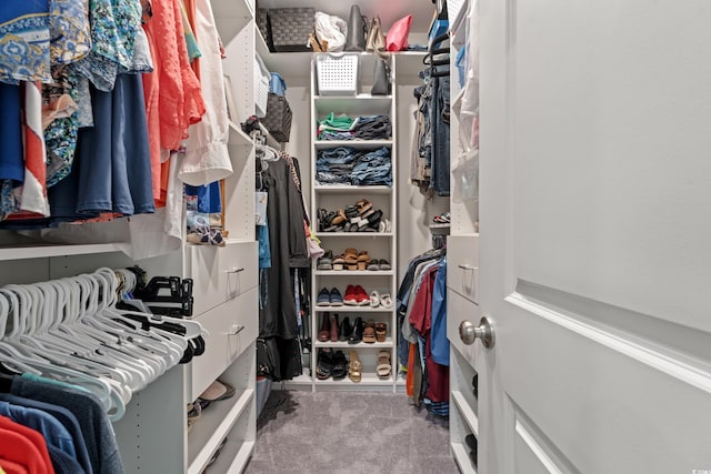 7405 Louisville Rd, Aynor, SC 29511 - walk in closet with carpet floors