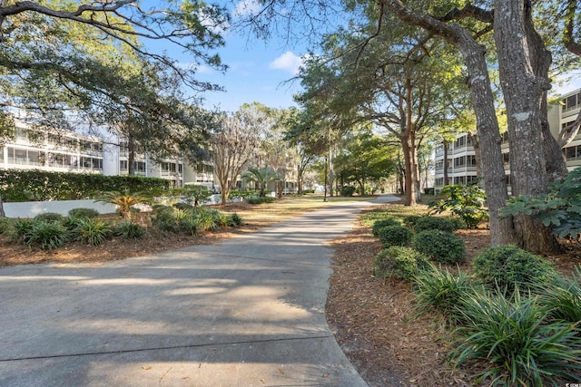 415 Ocean Creek Dr Unit 2243, Myrtle Beach, SC 29572 - view of street