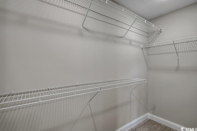 5087 Marigold Rd, Conway, SC 29527 - spacious closet with carpet floors