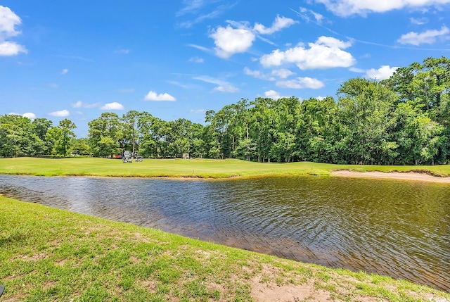 4436 Lady Banks Ln Unit B2, Murrells Inlet, SC 29576 - photo 29