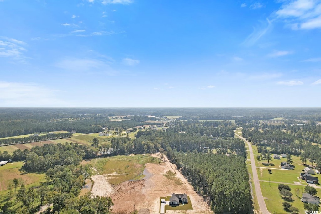 113 Rena Ln, Conway, SC 29527 - photo 2